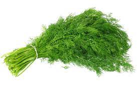 Dill herb for better hearing